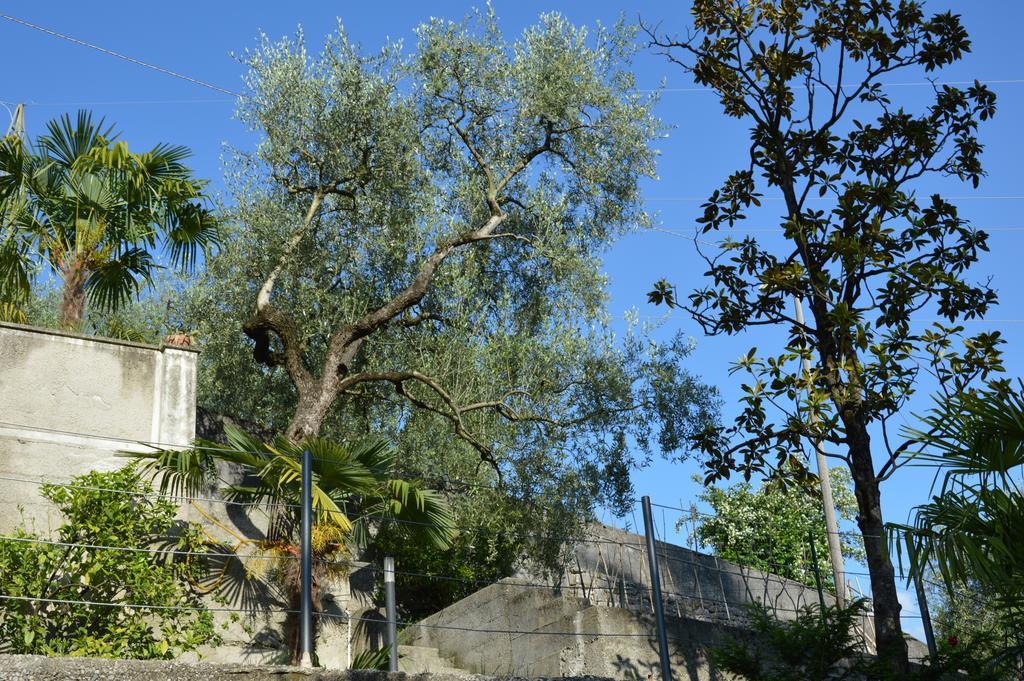 Arco Climbing Villa Exterior photo